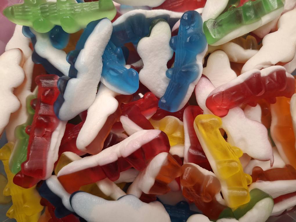 Crocodiles Lisses - 100g