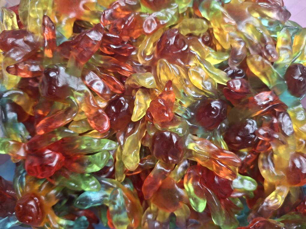 Octopus Lisses - 100g