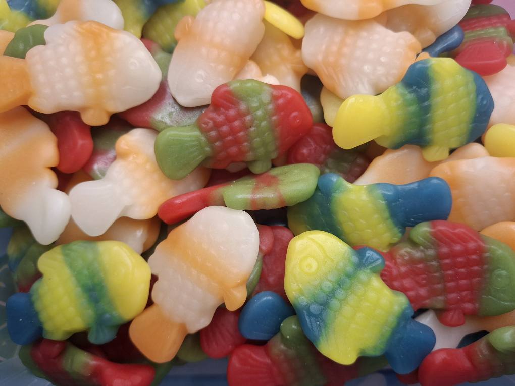 Poissons Clown Lisses - 100g