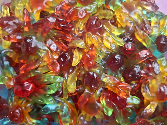 Octopus Lisses - 100g