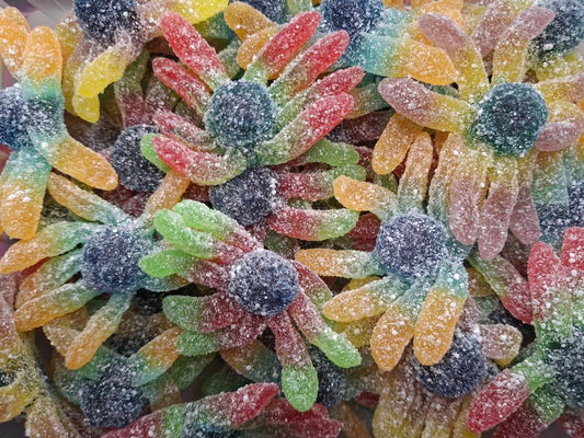 Octopus Acides Sucrés  - 100g